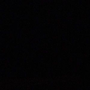 Meet your Posher, Shelby